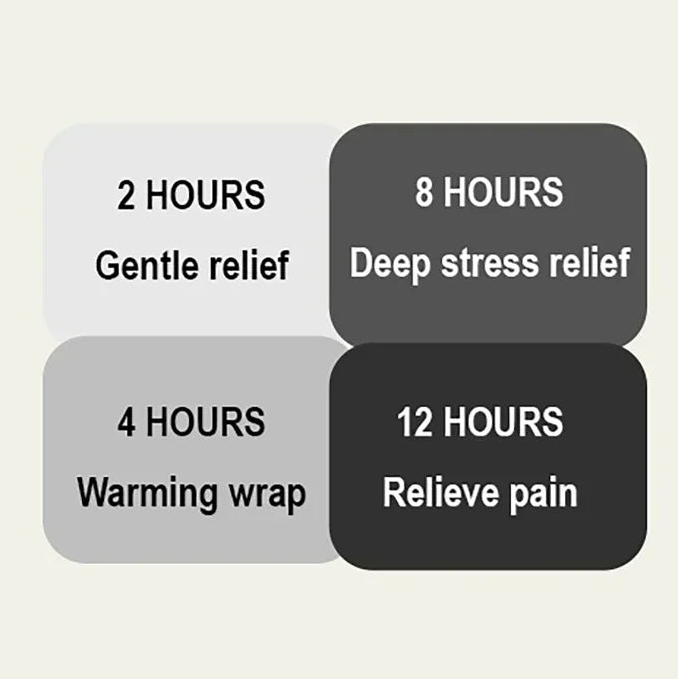 Premium Heated Throw Blanket