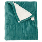 Premium Heated Throw Blanket