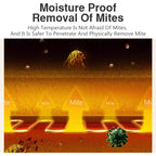 Premium Heated Throw Blanket